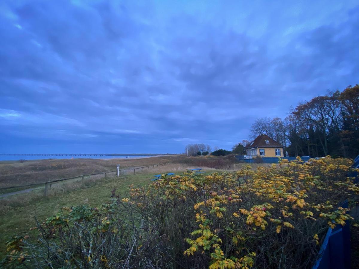 Skaerven Beachfront Apartments And Cottage Nyborg Exterior foto