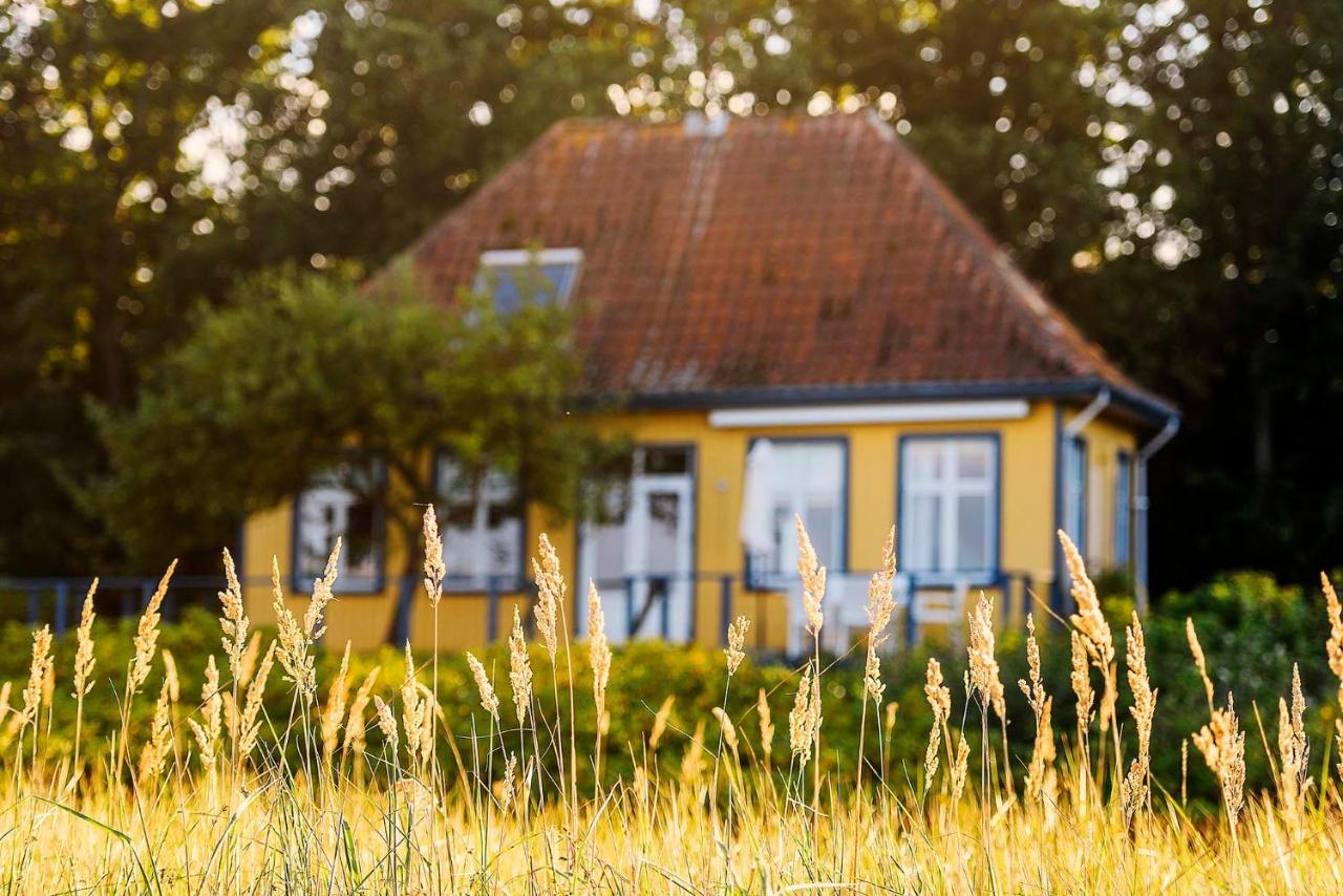 Skaerven Beachfront Apartments And Cottage Nyborg Exterior foto